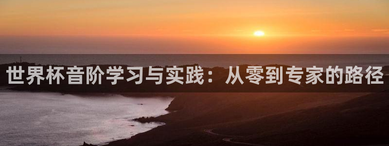 世界杯亚洲区预选赛赛程表：世界杯音阶学习与实践：从零到专家的路径