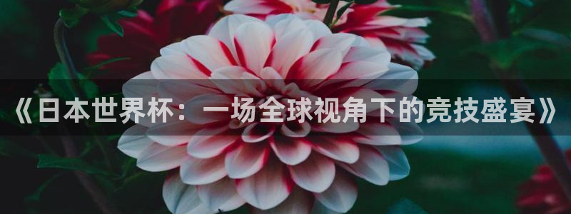 世界杯足球赛2026：《日本世界杯：一场全球视角下的竞技盛宴》
