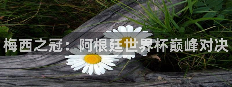 世界杯预选赛直播：梅西之冠：阿根廷世界杯巅峰对决