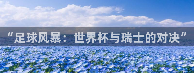 世界杯足球比赛：“足球风暴：世界杯与瑞士的对决”