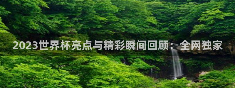 世界杯官网：2023世界杯亮点与精彩瞬间回顾：全网独家