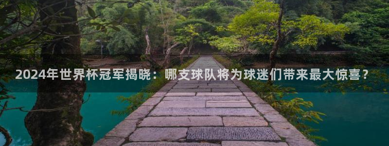 2026世界杯小组赛赛程时间表：2024年世界杯冠军揭晓：哪支球队将为球迷们带来最大惊喜？