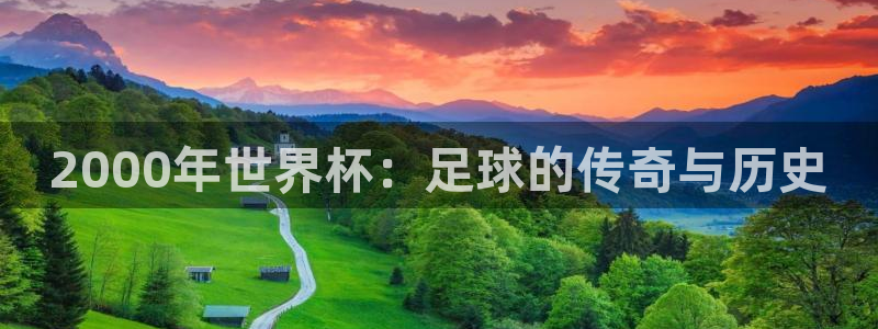 世界杯直播在线观看入口：2000年世界杯：足球的传奇与历史