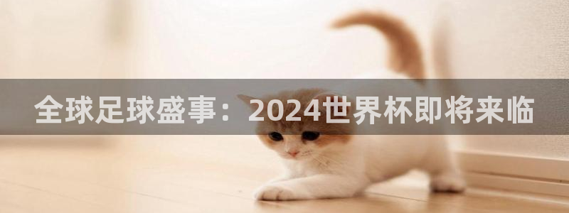 世界杯葡萄牙赛程：全球足球盛事：2024世界杯即将来临