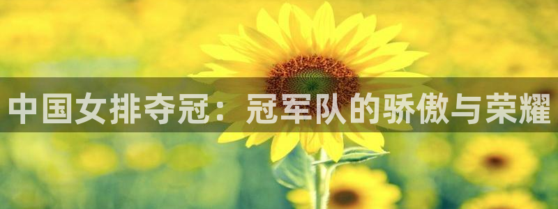 世界杯预赛赛程：中国女排夺冠：冠军队的骄傲与荣耀