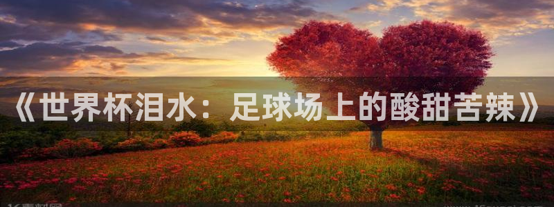 2026年足球世界杯赛程时间表：《世界杯泪水：足球场上的酸甜苦辣》