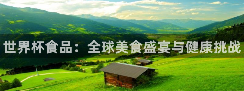 欧洲世界杯预选赛：世界杯食品：全球美食盛宴与健康挑战