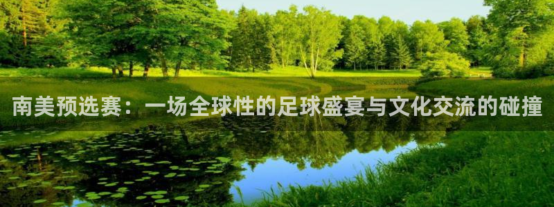 2026世界杯倒计时：南美预选赛：一场全球性的足球盛宴与文化交流的碰撞