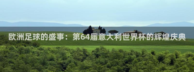 世界杯系列赛：欧洲足球的盛事：第64届意大利世界杯的辉煌庆典