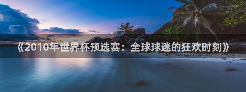 世界杯足球比赛：《2010年世界杯预选赛：全球球迷的狂欢时刻》