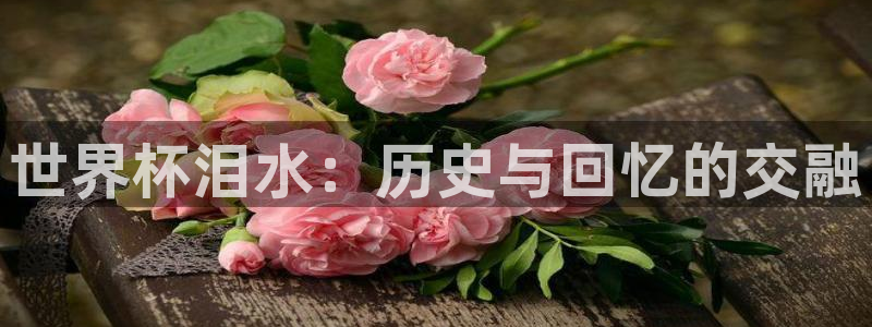 世界杯直播网站：世界杯泪水：历史与回忆的交融
