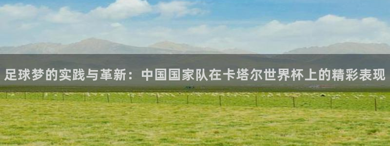 世界杯直播网：足球梦的实践与革新：中国国家队在卡塔尔世界杯上的精彩表现