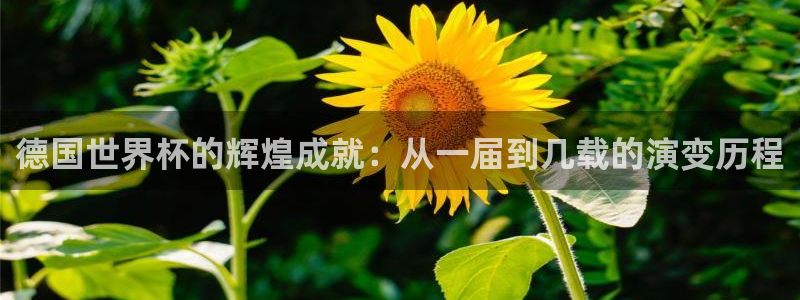 2026世界杯赛程表完整版：德国世界杯的辉煌成就：从一届到几载的演变历程